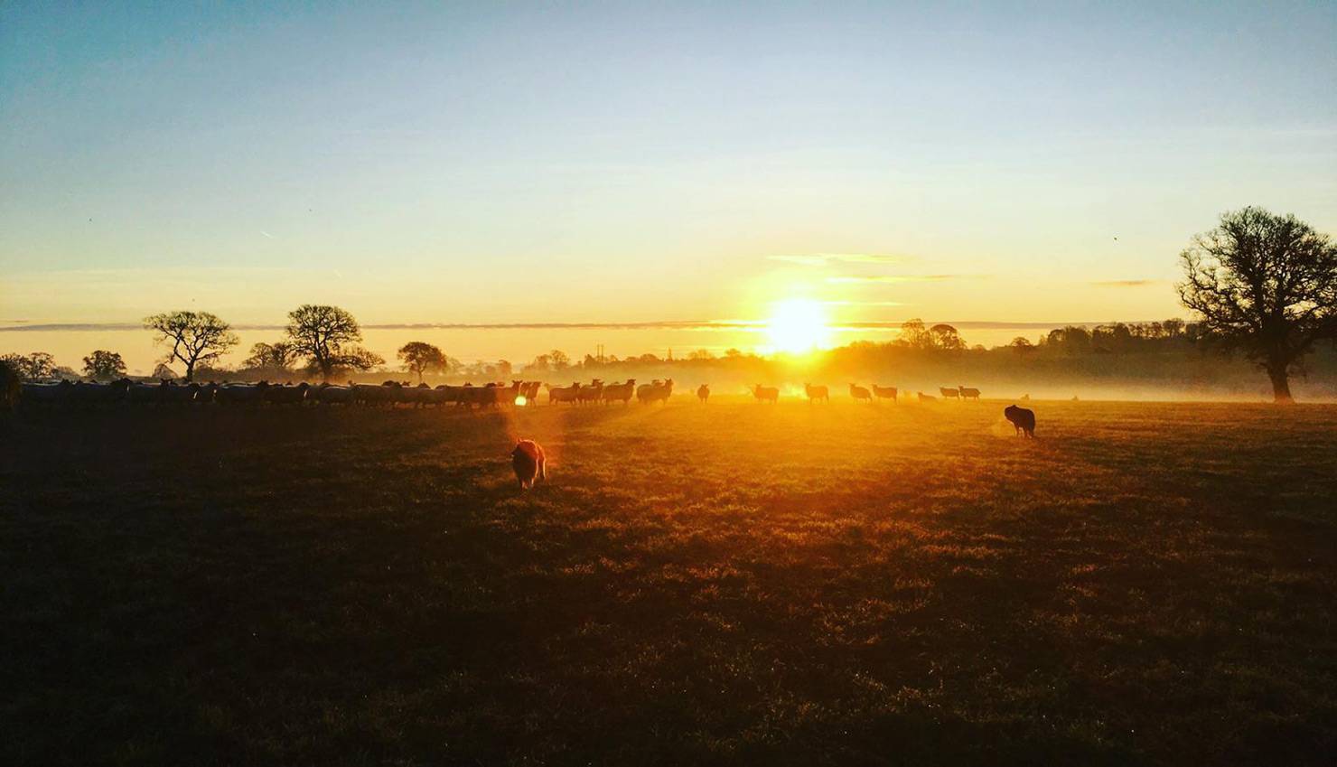 Sunrise over Millmoor Farm